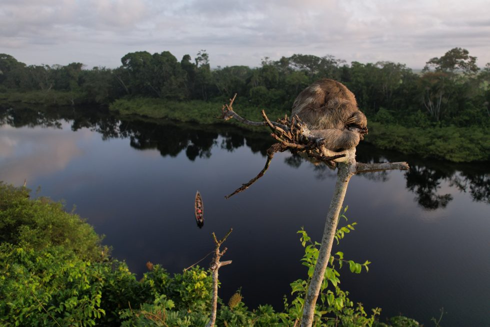 Suriname